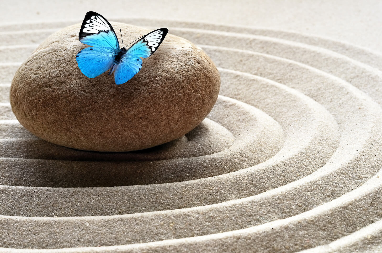 equilibrio2